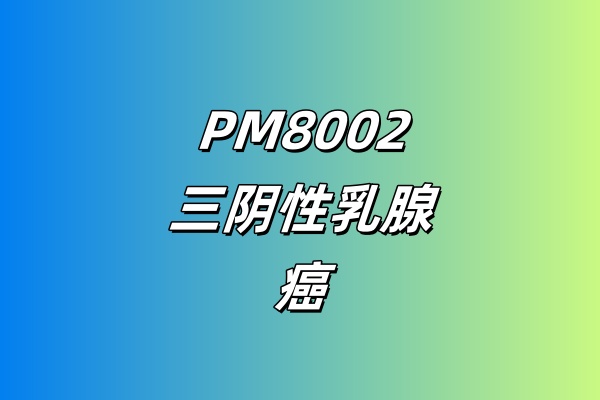 PM8002