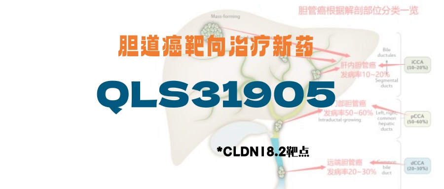【胆管癌】CLDN18.2靶点双抗QLS31905联合治疗方案，一线吉西他滨经治耐药的胆道癌免费检测新靶点，有效率很高！