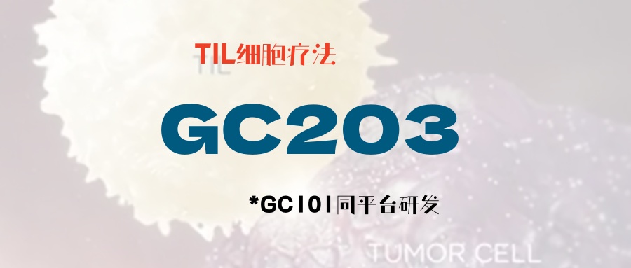 【卵巢癌，胰腺癌，胆管癌，宫颈癌可入】TIL细胞疗法GC203，无需清淋，无需输注IL2，高安全性，高有效性！