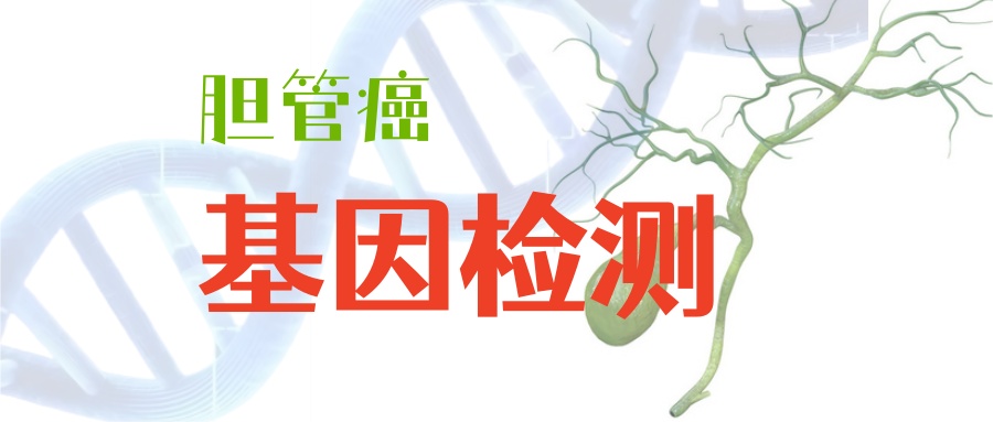 胆管癌基因检测该怎么做？胆管癌最全检测靶点汇总！