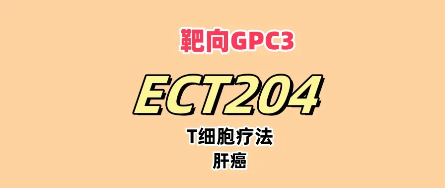 晚期肝细胞癌患者新希望：靶向GPC3的自体T细胞疗法ECT204疗效显著！已被FDA授予孤儿药称号！