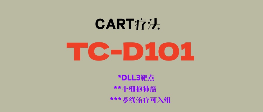 小细胞肺癌也有细胞疗法了！靶向DLL3的CART疗法TC-D101，安全性高，疗效显著！多线治疗患者也可入组！