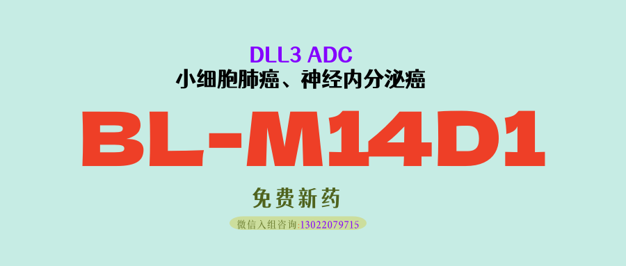突破性进展！百利DLL3 ADC新药BL-M14D1：ORR62.5%！低毒高效，破解肺外神经内分泌癌困局